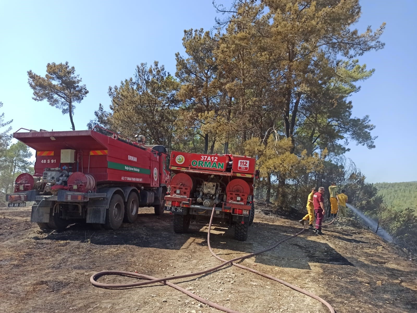 Muğla'da Milas yangını söndürüldü