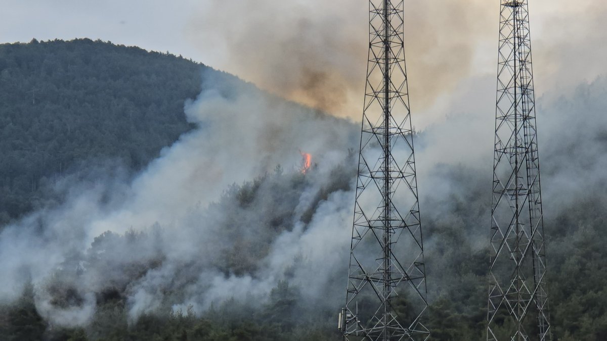 Karabük ormanları alevlere teslim oldu