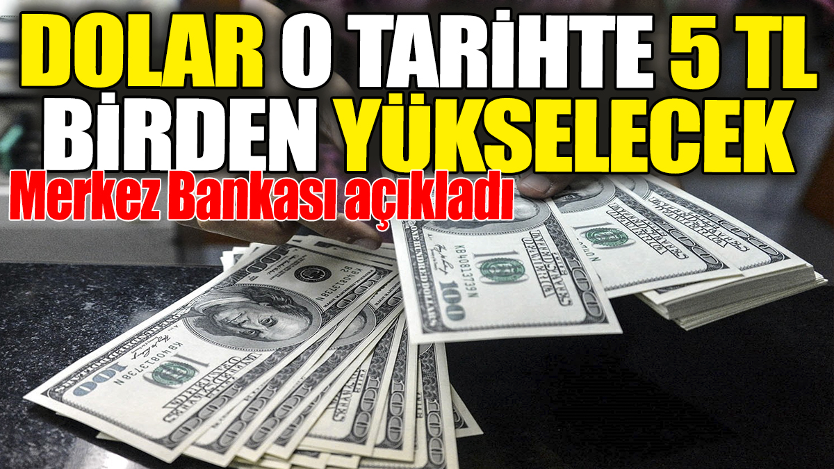 Dolar o tarihte 5 TL birden yükselecek. Merkez Bankası açıkladı