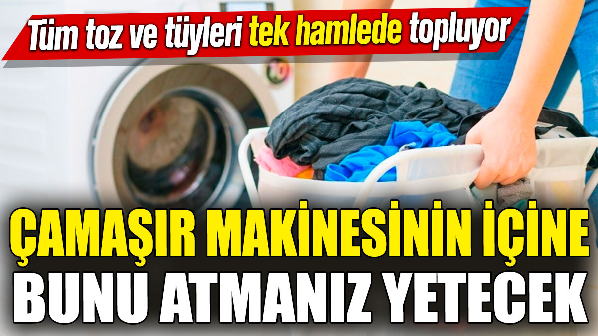 Çamaşır makinesinin içine bunu atmanız yetecek! Tüm toz ve tüyleri tek hamlede topluyor