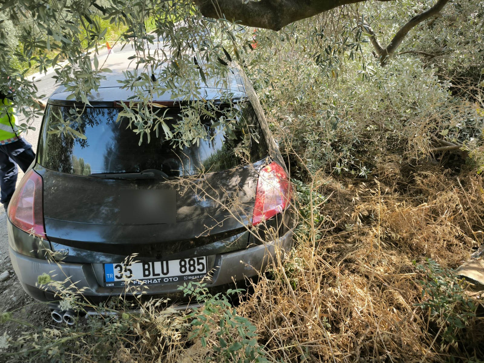 Yol kenarındaki ağaca çarpan otomobilin sürücüsü yaşamını yitirdi