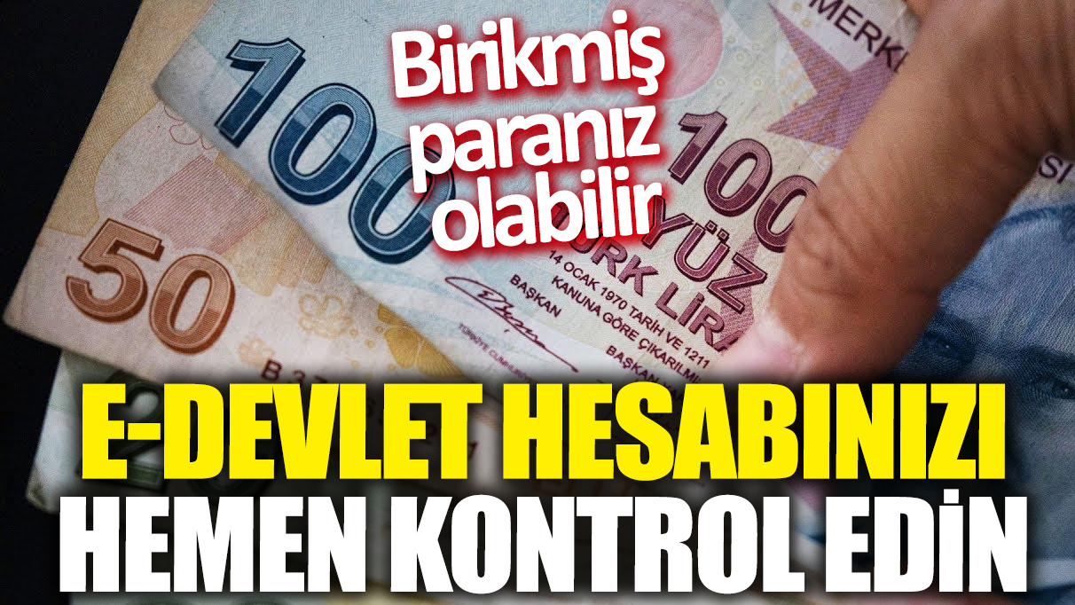 e-Devlet hesabınızı hemen kontrol edin! Birikmiş paranız olabilir