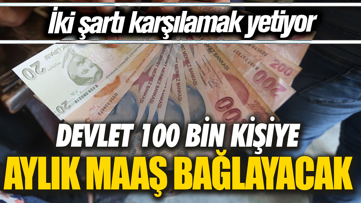 Devlet 100 bin kişiye aylık maaş bağlayacak! İki şartı karşılamak yetiyor