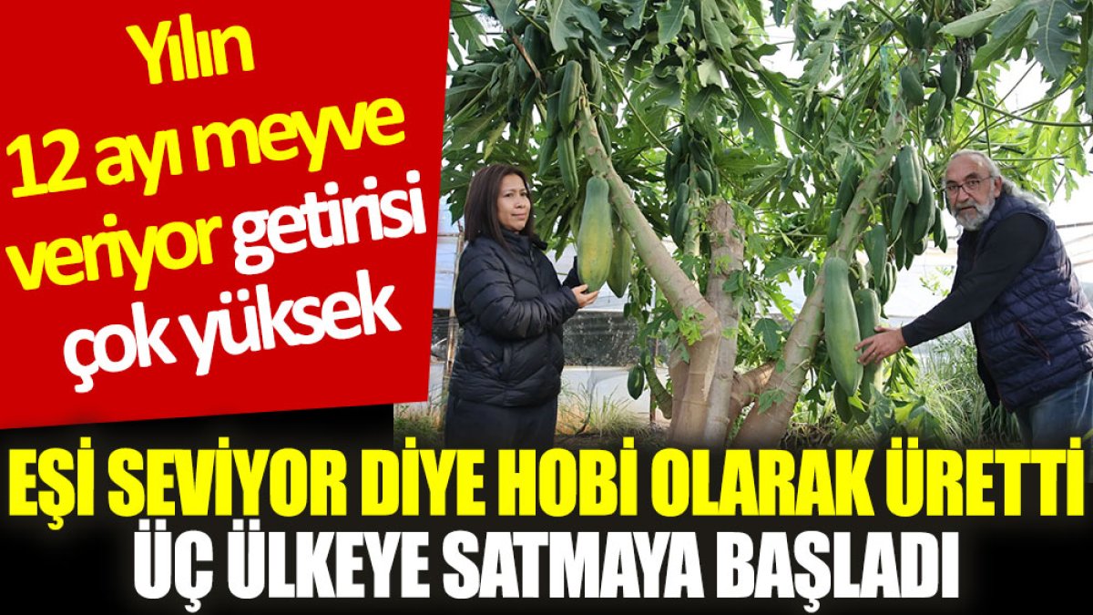 Eşi seviyor diye hobi olarak üretti, üç ülkeye satmaya başladı