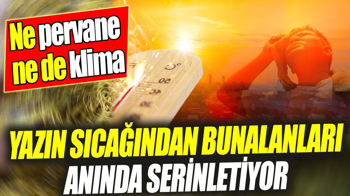 Yazın sıcağından bunalanları anında serinletiyor! ‘Ne pervane ne de klima’ Görenler şaşıp kalıyor