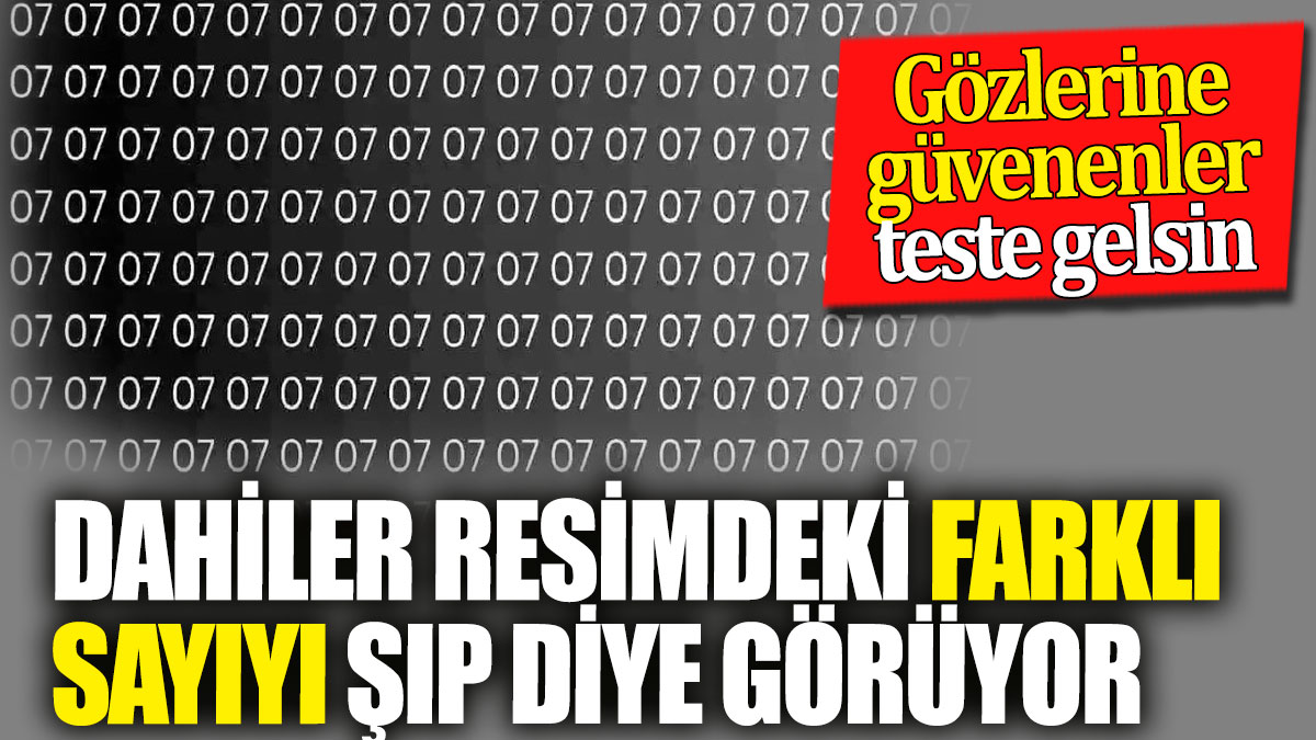 Dahiler resimdeki farklı sayıyı şıp diye görüyor! Gözlerine güvenenler teste gelsin