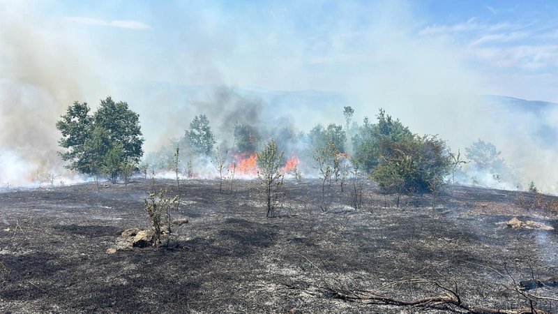 Samsun’da 25 dönümlük tarım arazisi kül oldu