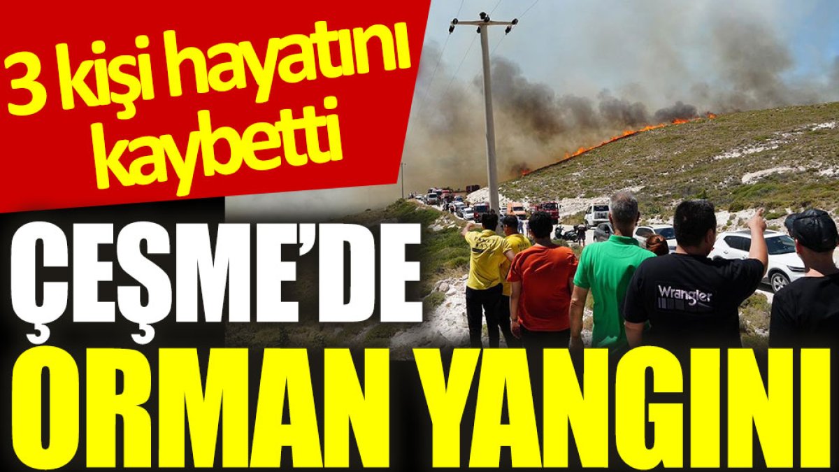 Çeşme’de orman yangını: 3 kişi hayatını kaybetti