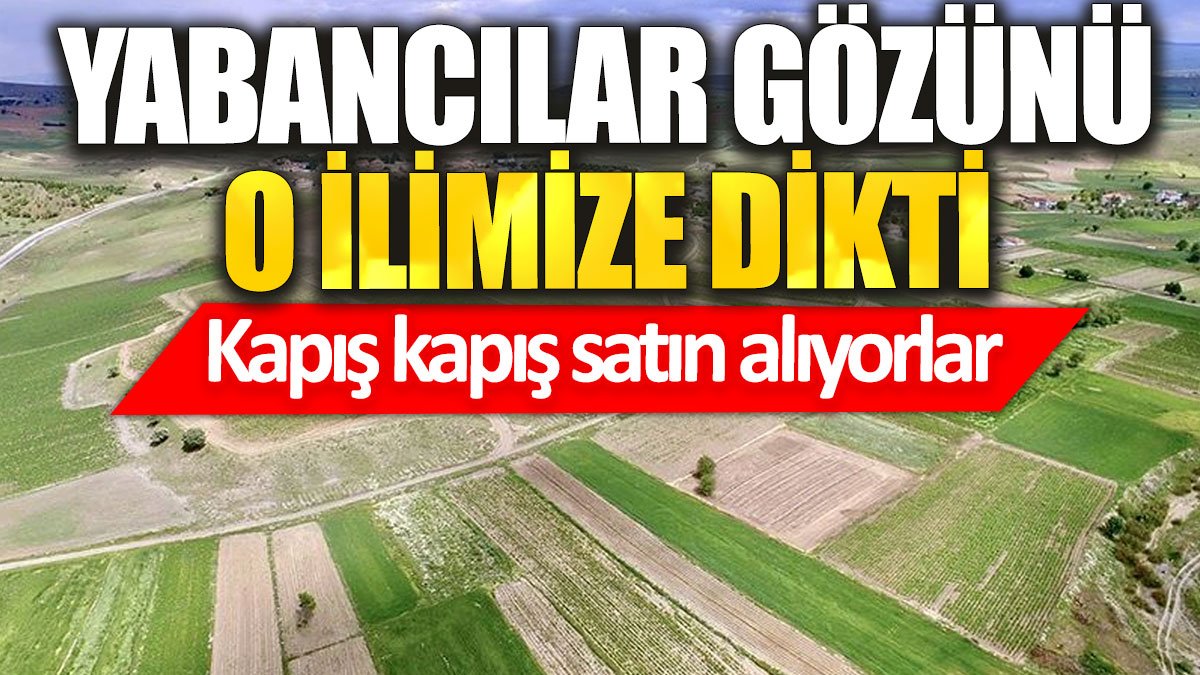 Yabancılar gözünü o ilimize dikti: Kapış kapış satın alıyorlar