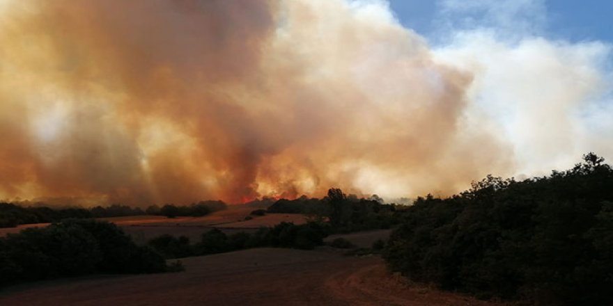 Bursa'daki orman yangınıyla ilgili 3 gözaltı