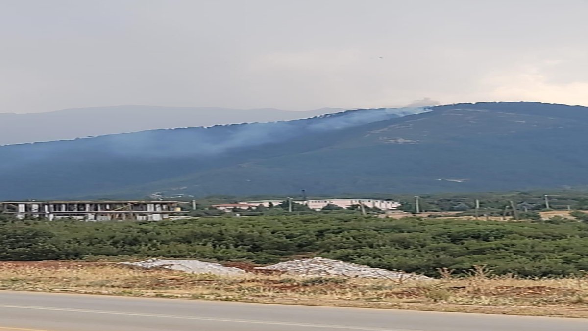 Denizli’de yıldırım düşmesi orman yangınına neden oldu