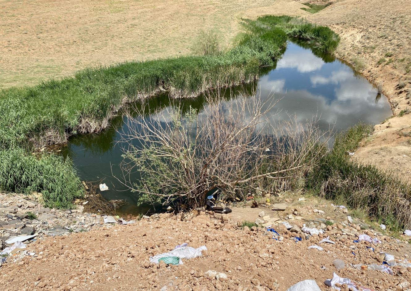 Kırşehir'de gölet kenarında bazada battaniyeye sarılı ceset bulundu.