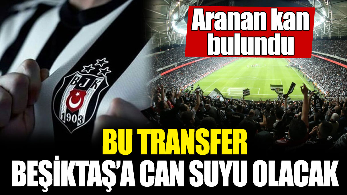 Bu transfer Beşiktaş’a can suyu olacak! Aranan kan bulundu