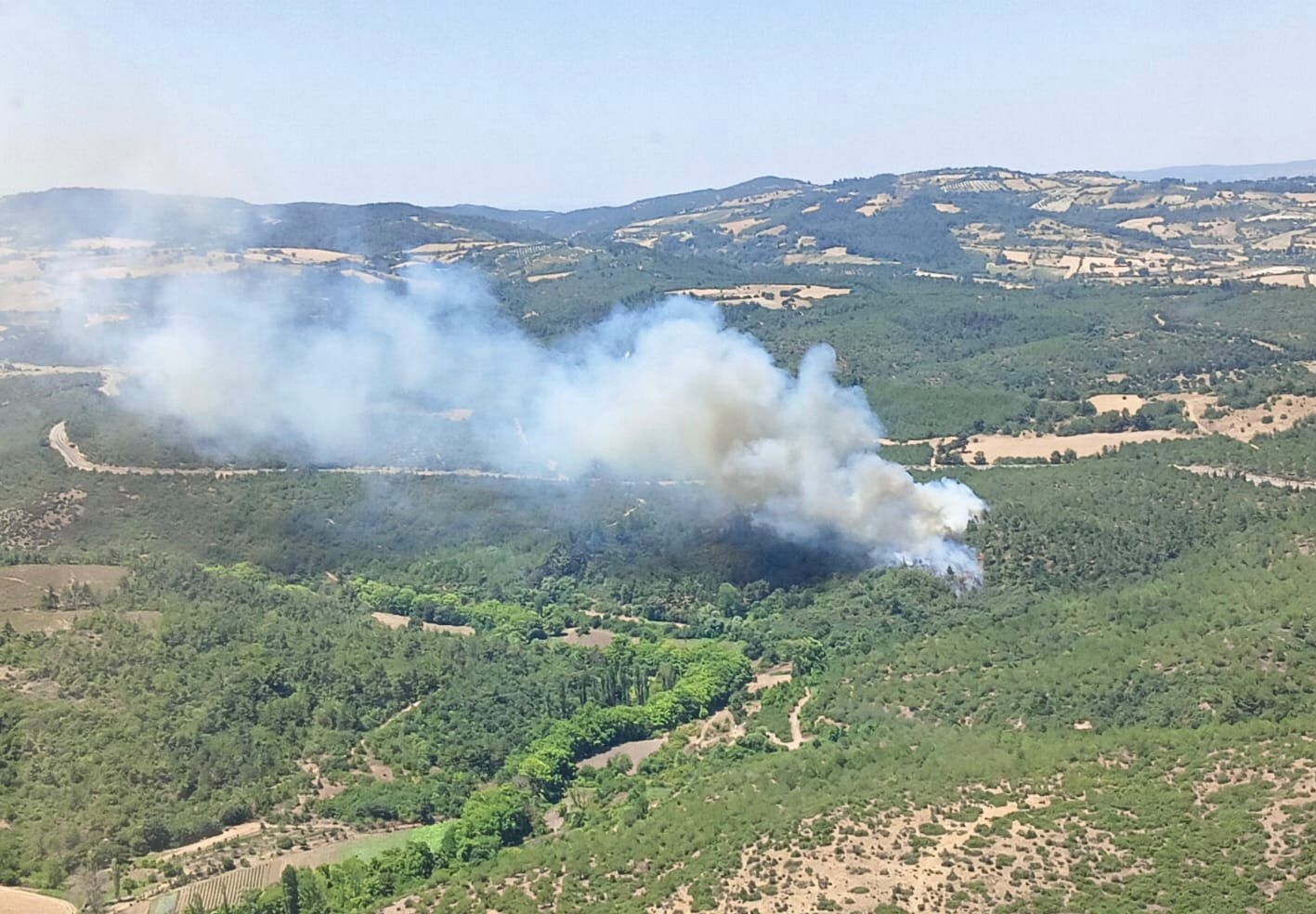 Balıkesir'de orman yangını