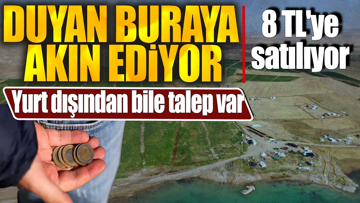 Duyan buraya akın ediyor. Yurt dışından bile talep var. 8 TL'ye satılıyor