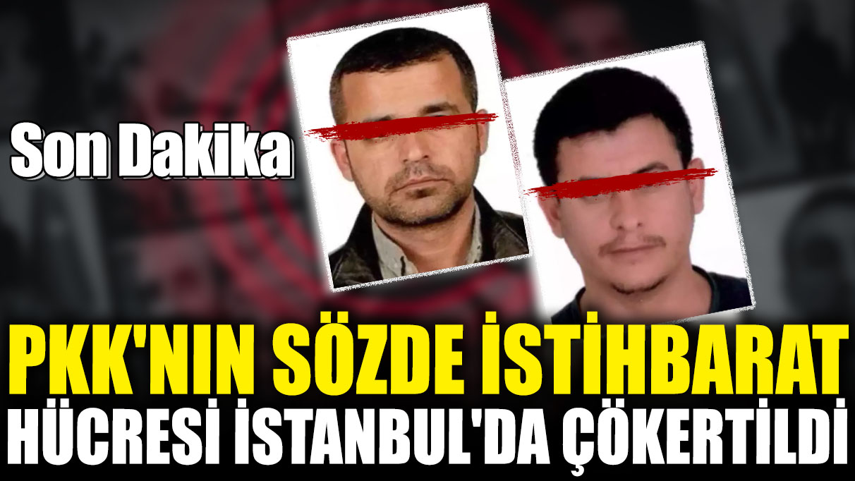 Son dakika! PKK'nın sözde istihbarat hücresi İstanbul'da çökertildi