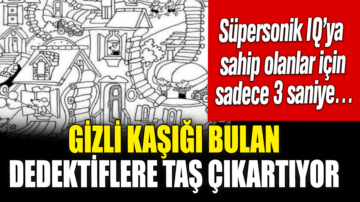 Gizli kaşığı bulan dedektiflere taş çıkartıyor! Süpersonik IQ’ya sahip olanlar için sadece 3 saniye…