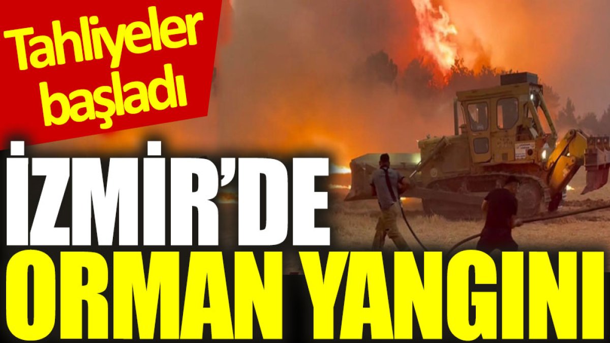 İzmir'de orman yangını: Tahliyeler başladı