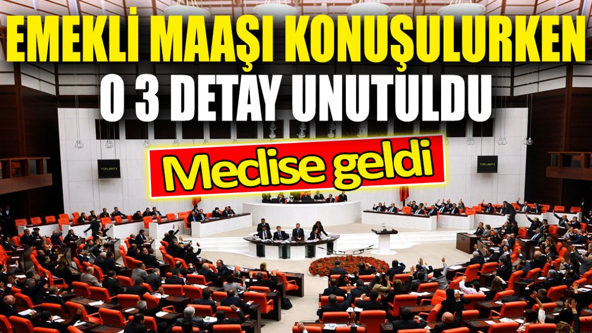 Emekli maaşı konuşulurken o 3 detay unutuldu ‘Meclise geldi’