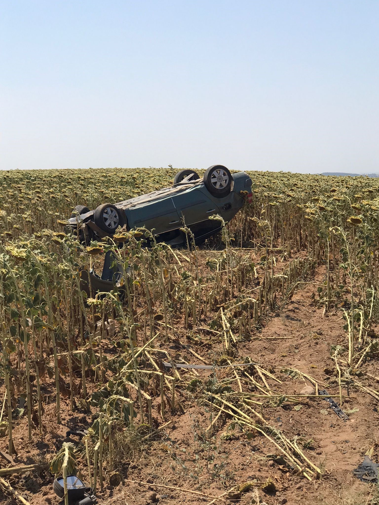 Takla atan otomobilin sürücüsü hayatını kaybetti