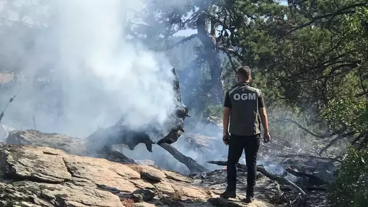 Bolu'da ormana yıldırım düşünce yangın çıktı