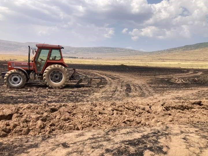 Biçerdöverle hasatta yangın çıktı: 4 hektar alan kül oldu