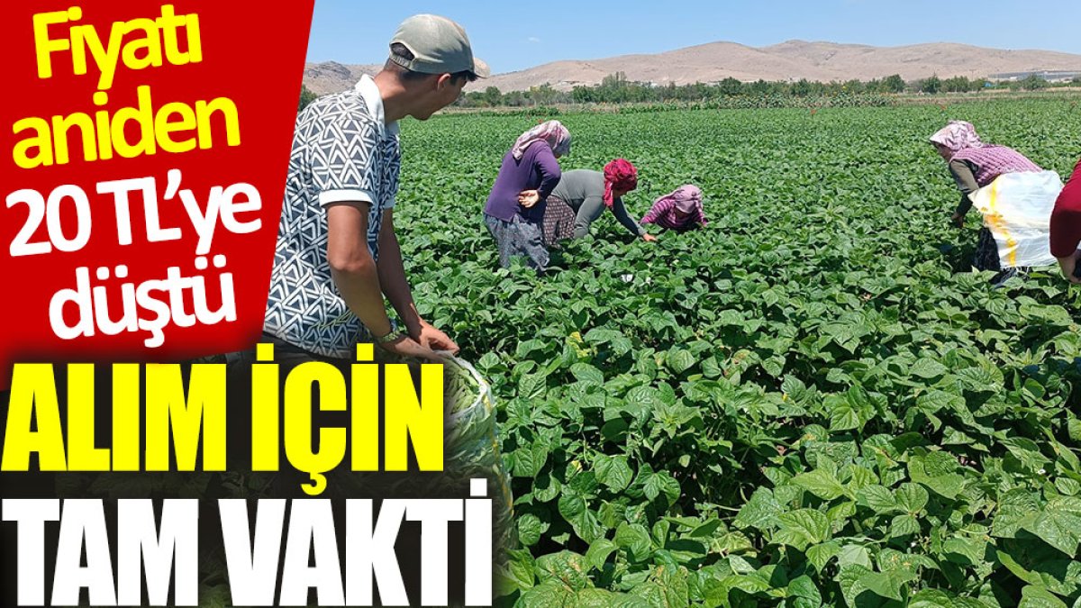 Fiyatı aniden 20 TL'ye düştü: Alım için tam vakti