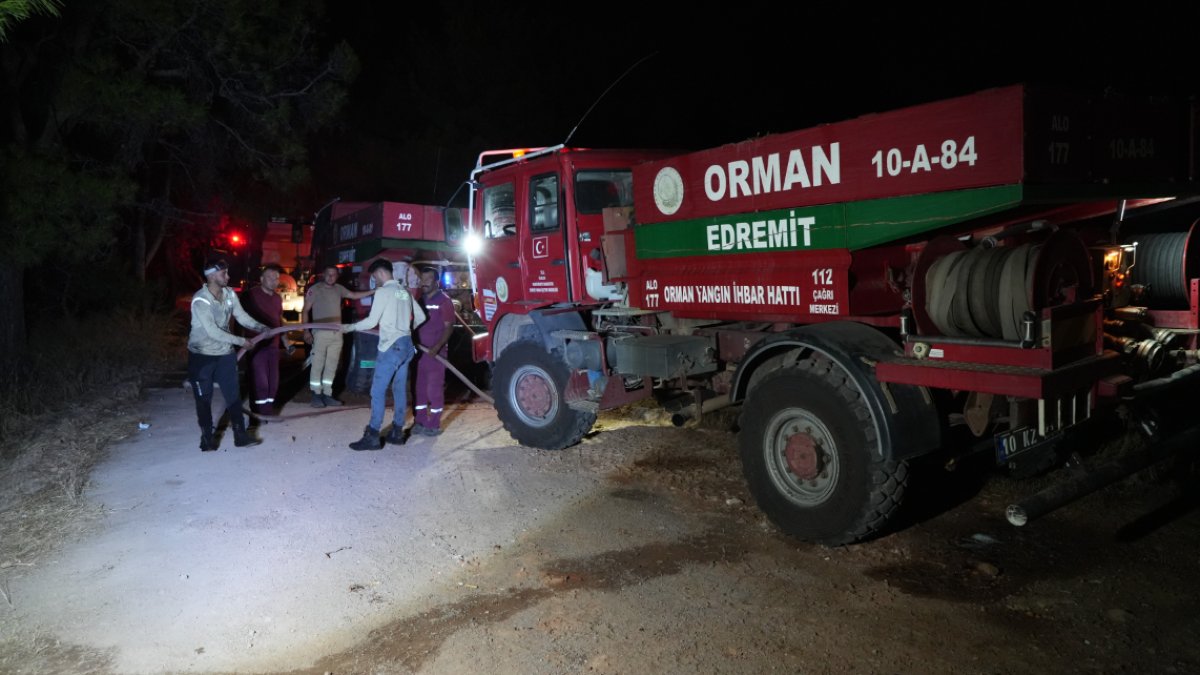 Ayvalık'taki orman yangını kontrol altına alındı