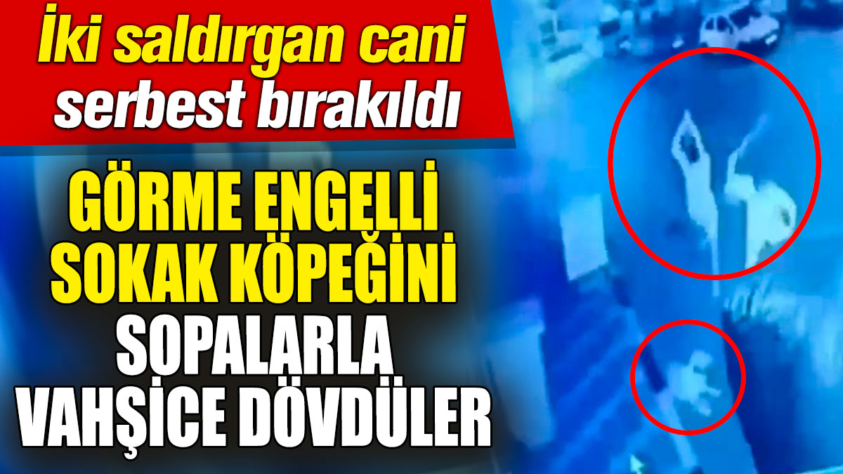 Görme engelli sokak köpeğini sopalarla vahşice dövdüler! İki saldırgan cani serbest bırakıldı