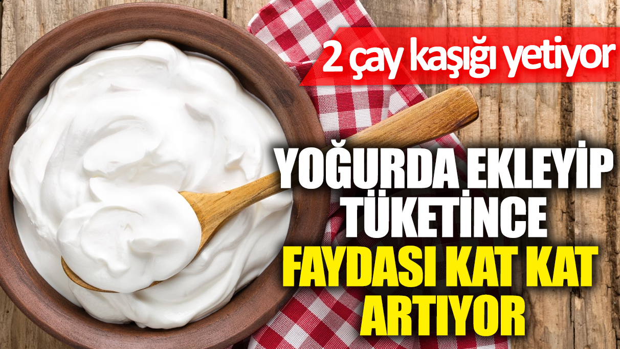 Yoğurda ekleyip tüketince faydası kat kat artıyor! 2 çay kaşığı yetiyor