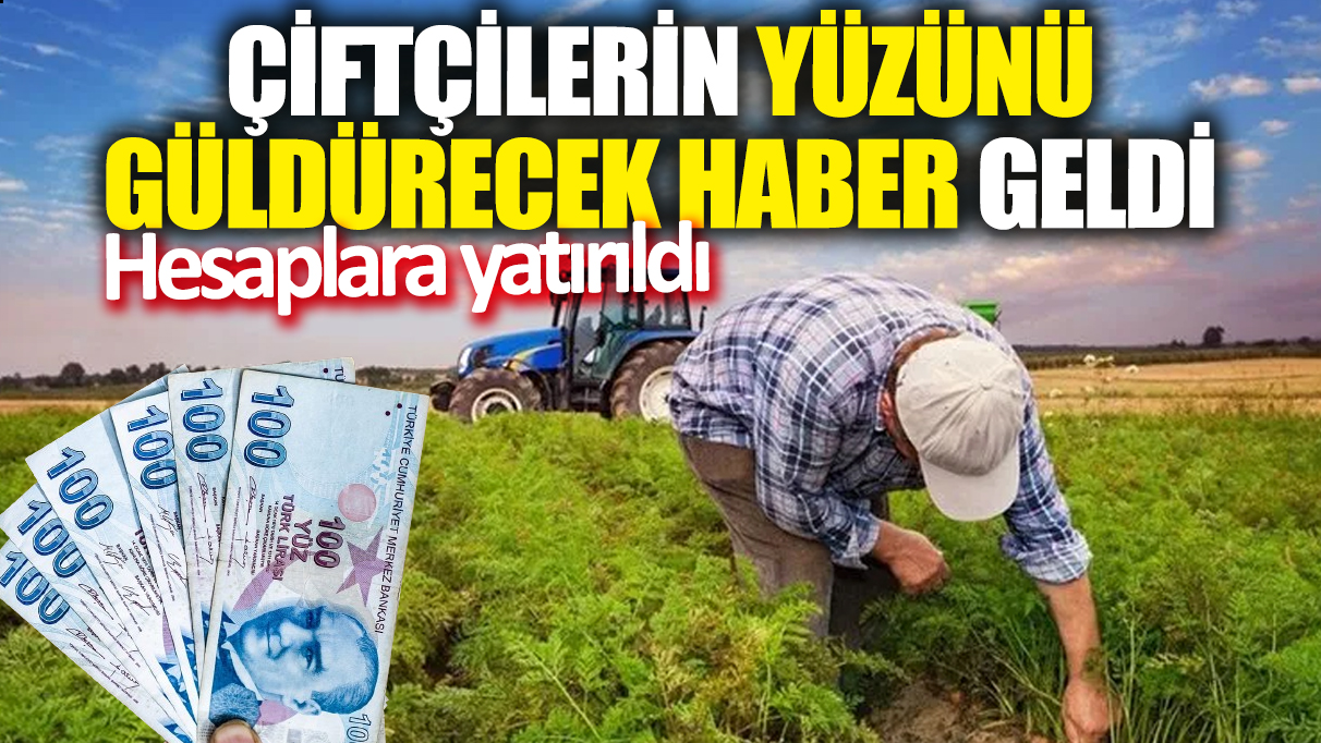 Çiftçilerin yüzünü güldürecek haber geldi! Hesaplara yatırıldı