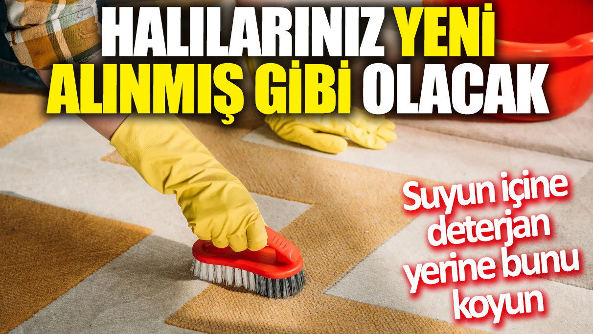 Halılarınız yeni alınmış gibi olacak! Suyun içine deterjan yerine bunu koyun