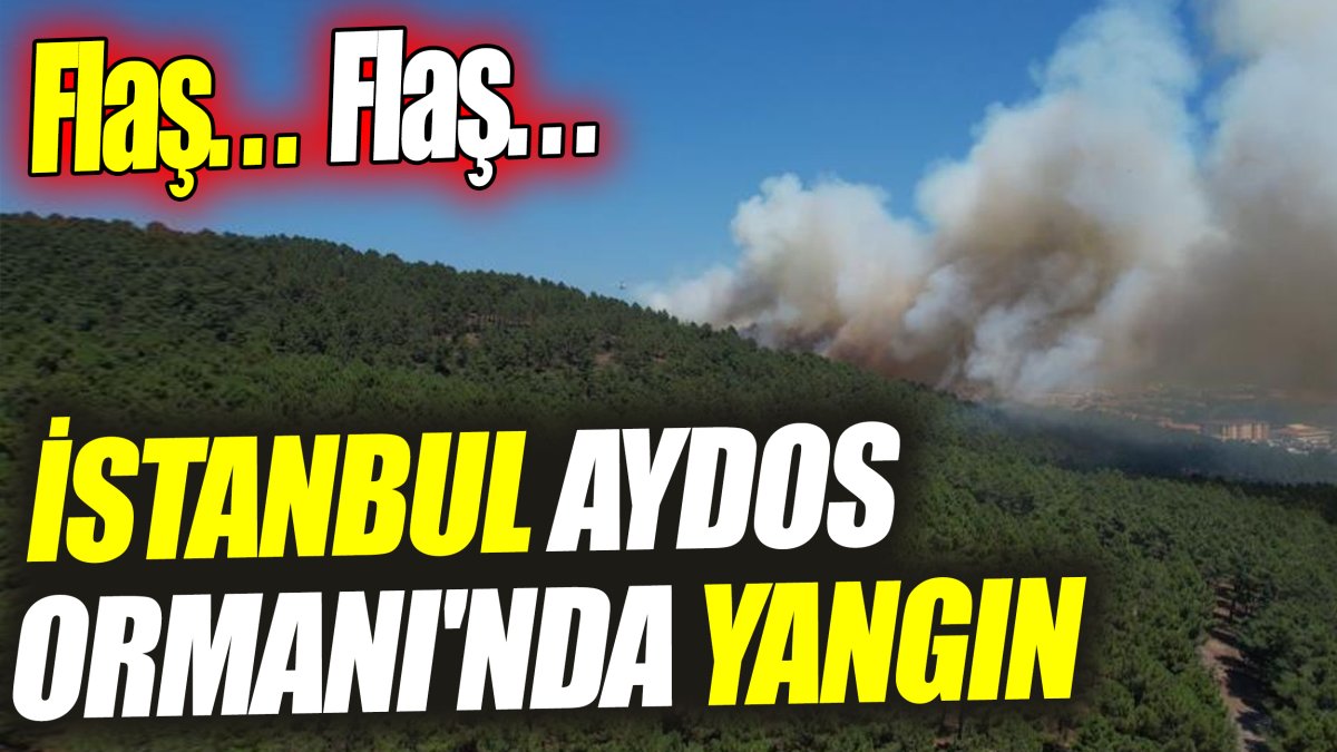 İstanbul Aydos Ormanı'nda yangın