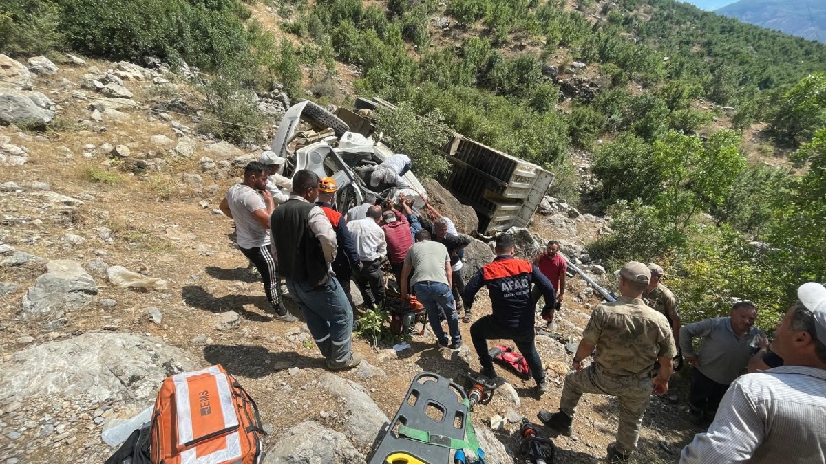 Bitlis’te odun yüklü kamyonet devrildi: 1 yaralı