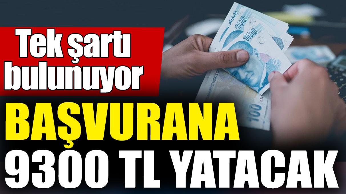 Başvurana 9300 TL yatacak! Tek şartı bulunuyor