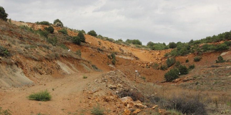 Eskişehir'de 200 bin ağaç kesilecek!