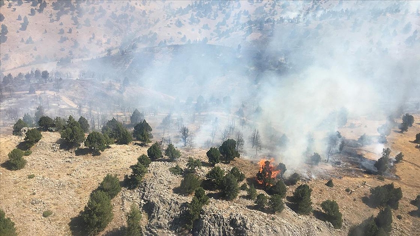 Kahramanmaraş'ta orman yangını