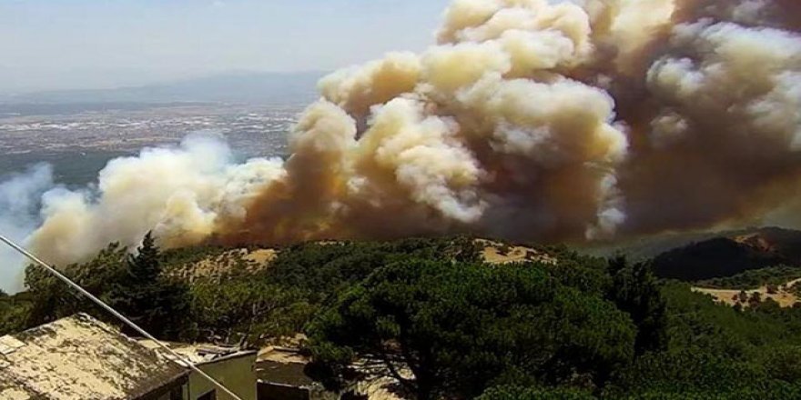 Karabağlar'da orman yangını