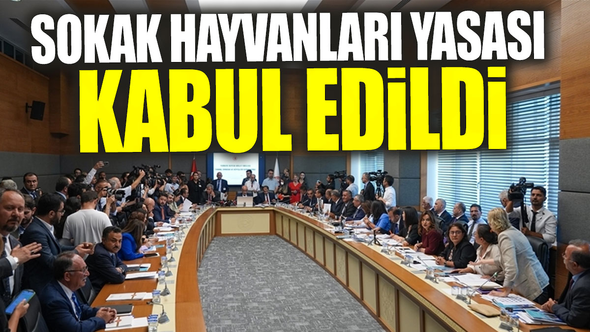 Sokak hayvanları yasası kabul edildi