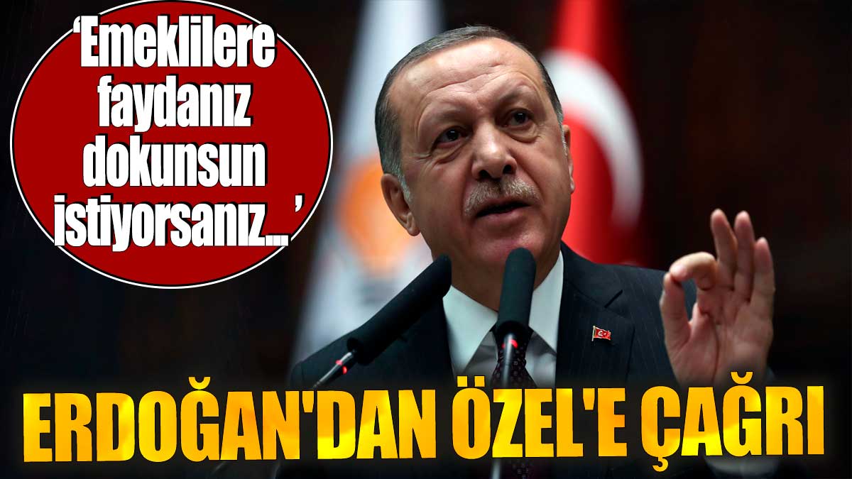 Erdoğan'dan Özel'e çağrı. 'Emeklilere faydanız dokunsun istiyorsanız