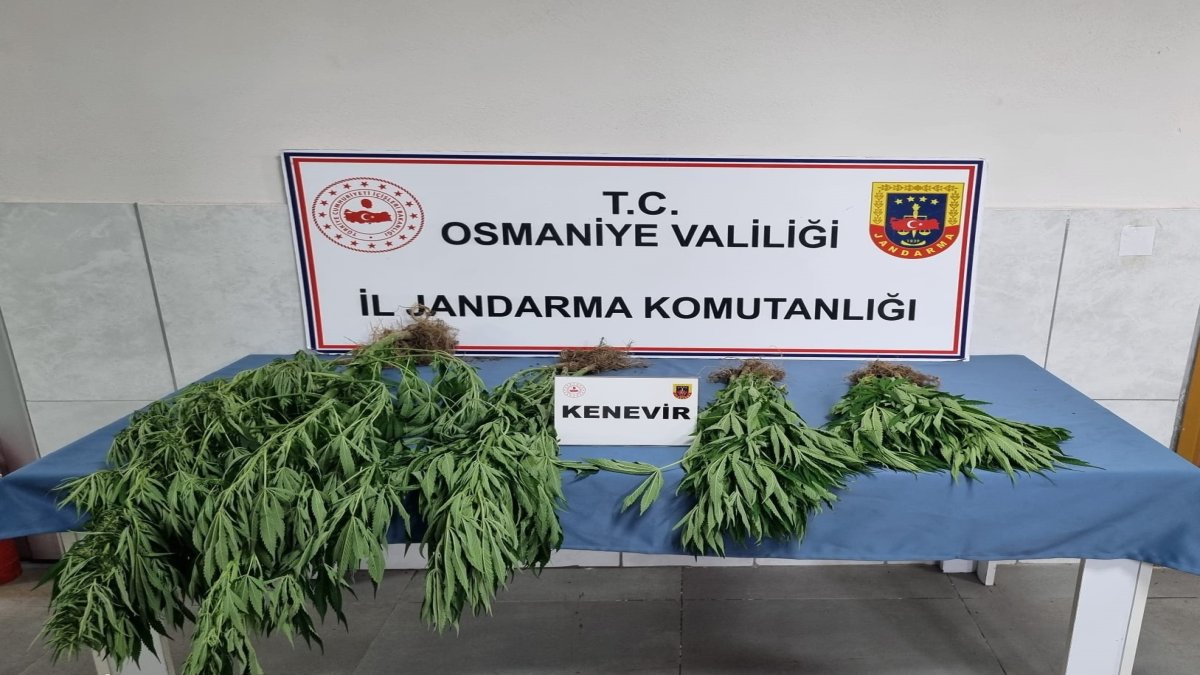 Osmaniye'de narkotik operasyonu nefes kesti