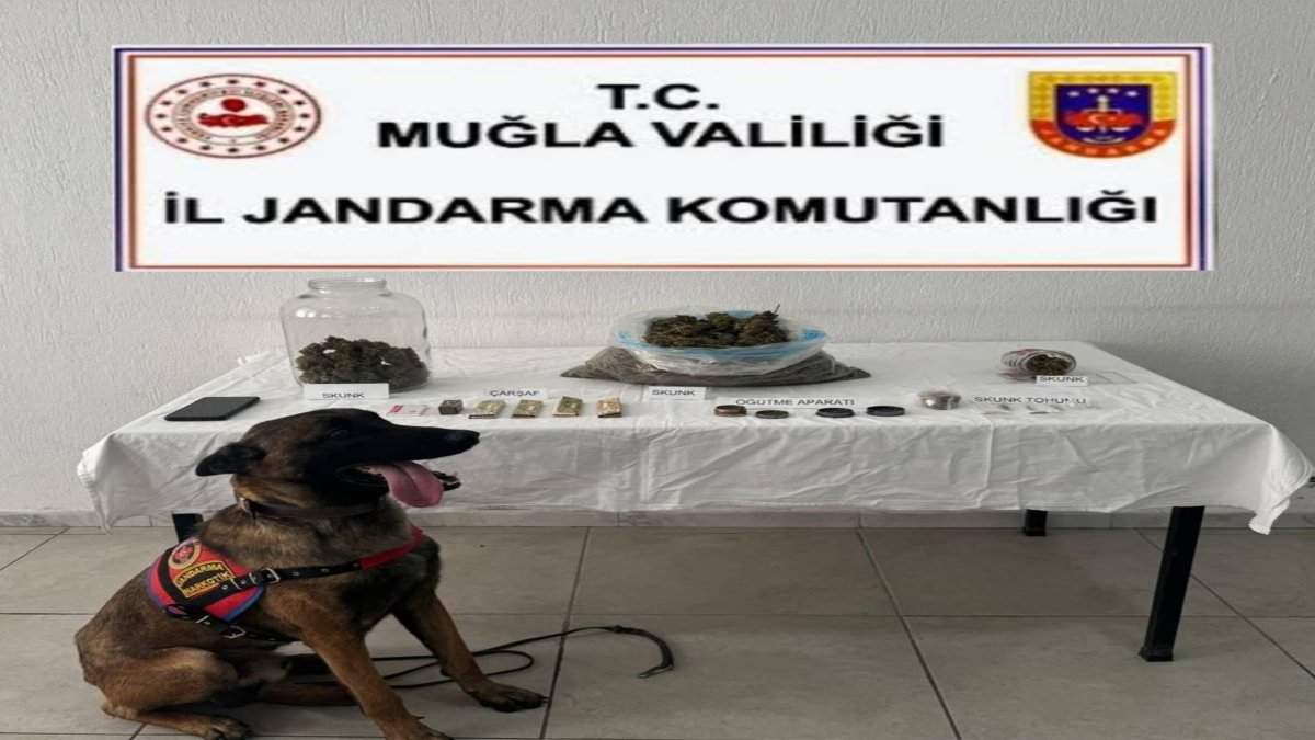 Muğla'da nefes kesen narkotik operasyonu