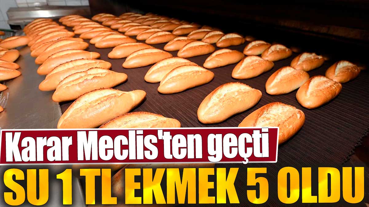 Su 1 TL, ekmek 5 oldu. Karar Meclis'ten geçti