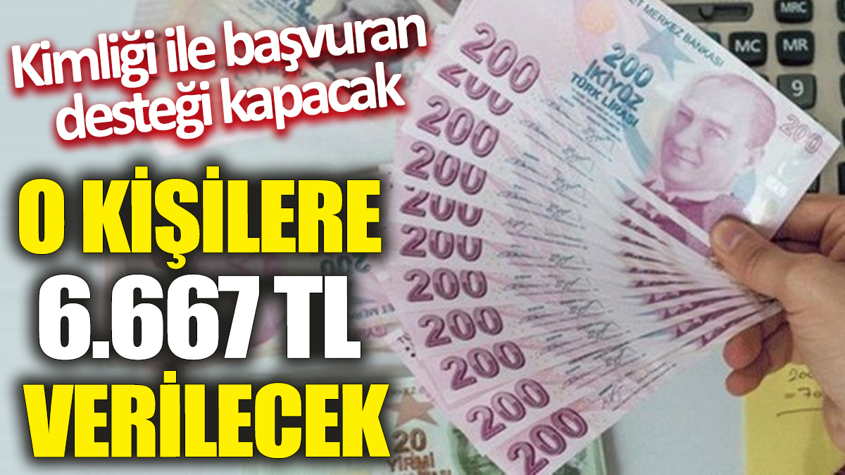 Kimliği ile başvuran desteği kapacak! O kişilere 6.667 TL verilecek