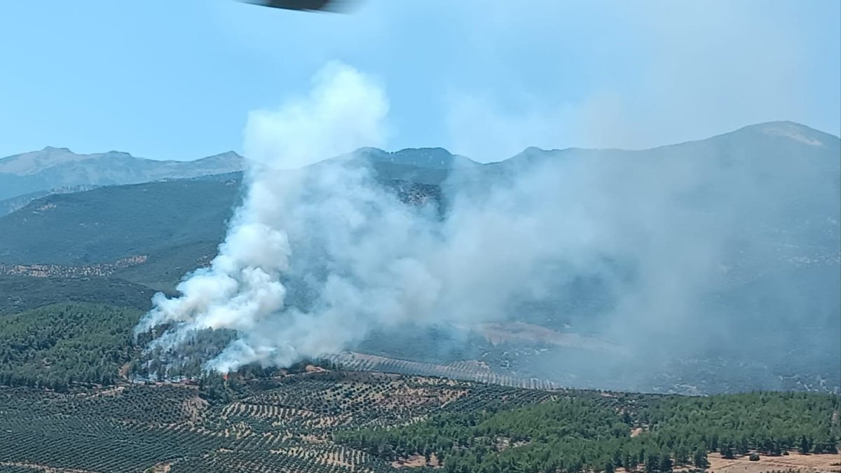 Sondaj aracından sıçrayan kıvılcım ormanı kül etti