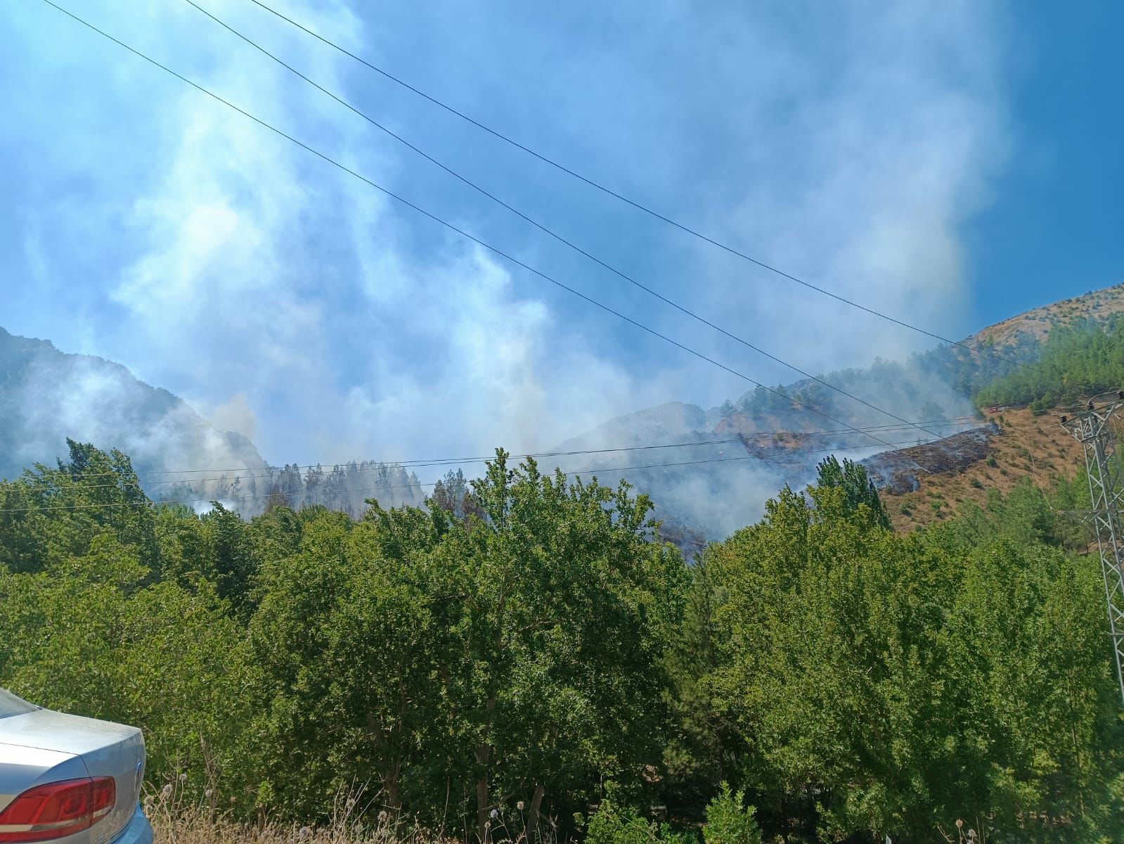 Kahramanmaraş'ta orman yangını