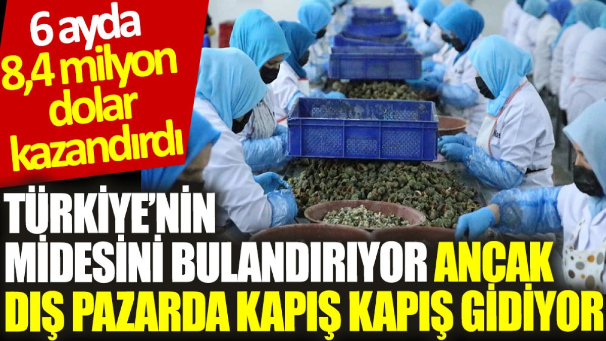 Türkiye’nin midesini bulandırıyor ancak dış pazarda kapış kapış gidiyor: 6 ayda 8,4 milyon dolar kazandırdı