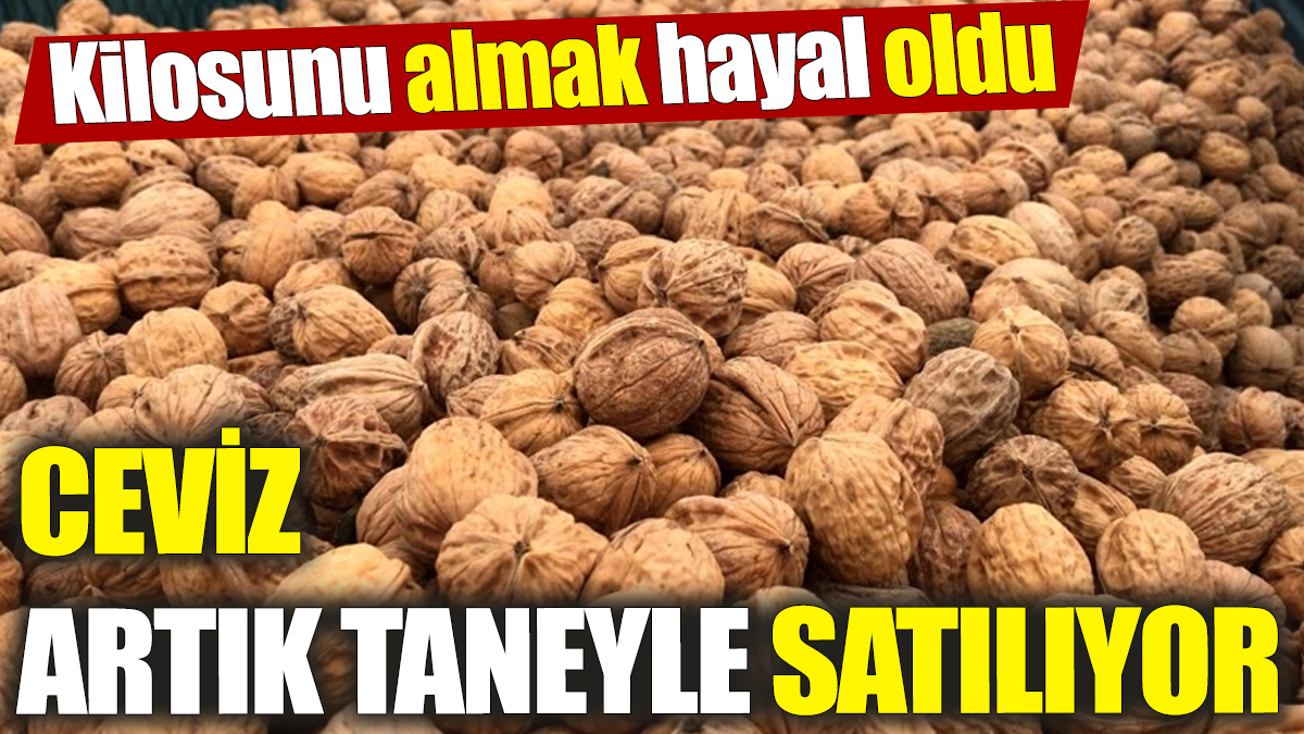 Ceviz artık taneyle satılıyor! Kilosunu almak hayal oldu