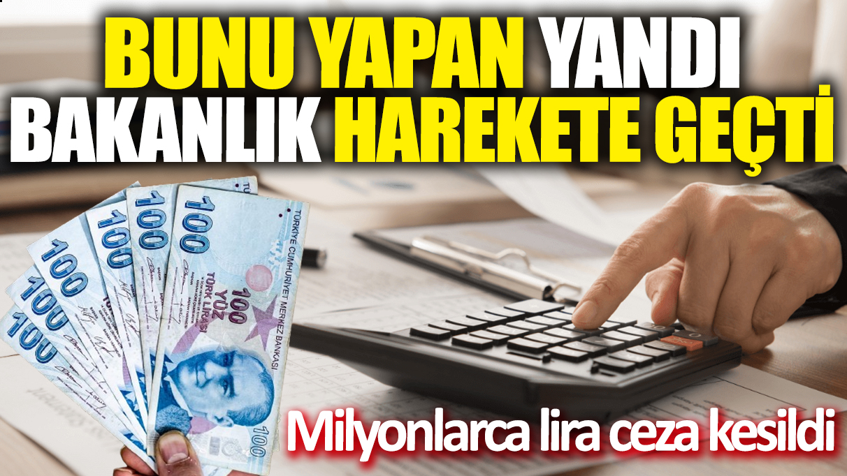 Bunu yapan yandı! Bakanlık harekete geçti 'Milyonlarca lira ceza kesildi'