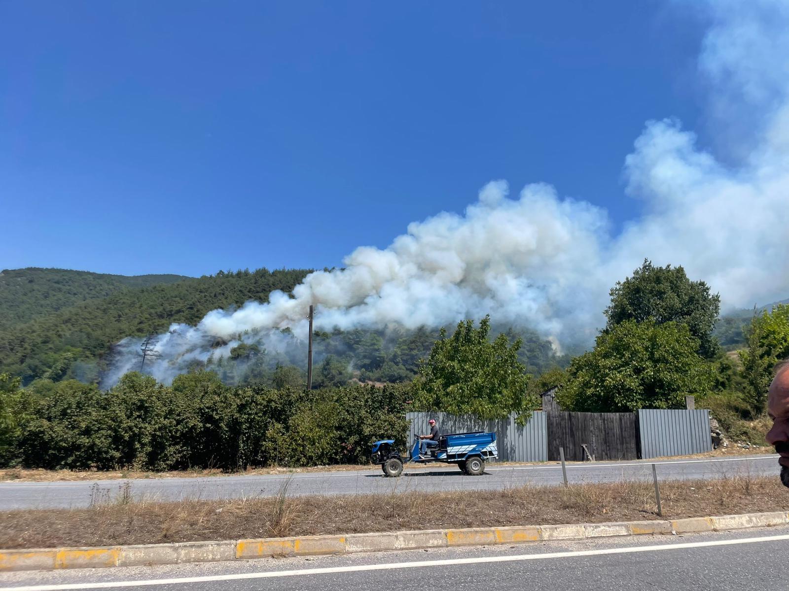 Sakarya'da yangın 10 hektar alan zarar gördü